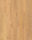 R173_1210x192_pion.jpg