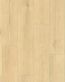 R172_Vigra_Oak_1210x234_4V_pion_1.jpg