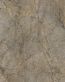 R104_Rainforest_Brown_1.jpg