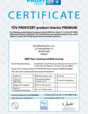 tuv_profiziert_certificate_EN.jpg