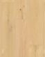 R174_Salem_Oak_1210x295_4V_pion.jpg